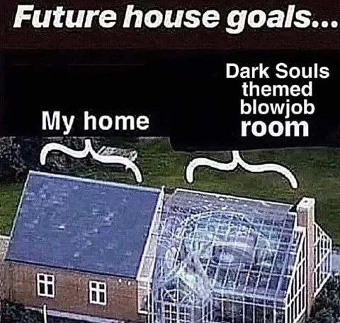 Future House Goals