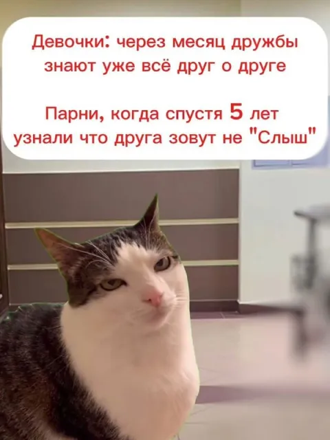 Дружба парней спустя пять лет