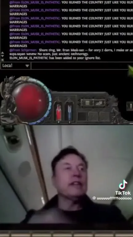Elon Musk Gets Trolled Live