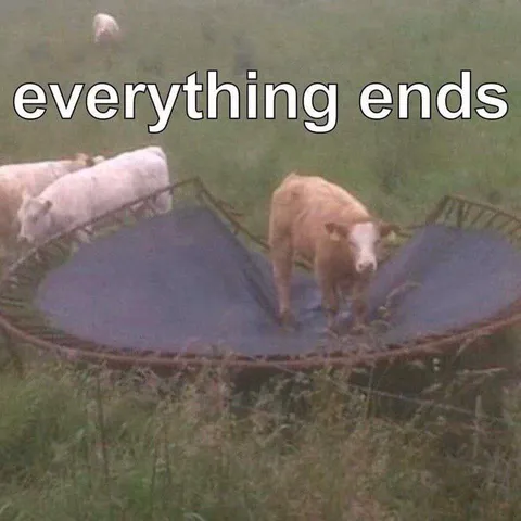 Everything Ends Pigs