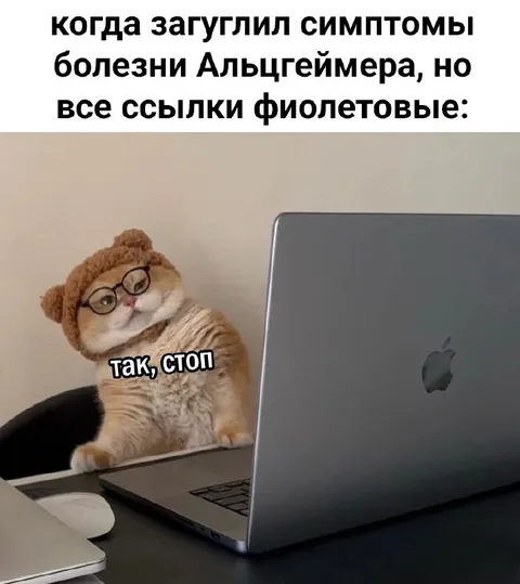 Кот проверяет фиолетовые ссылки