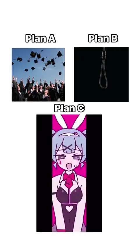 Plan A Graduation Plan B Noose Plan C Bunny