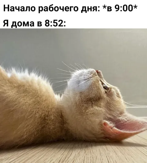 Начало рабочего дня в 8:52
