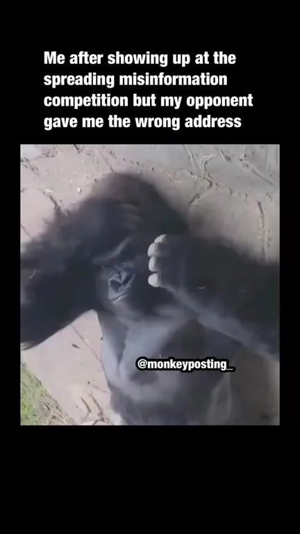 Wrong Address Misinformation Competition