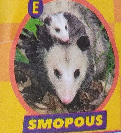 E SMOPOUS Possums