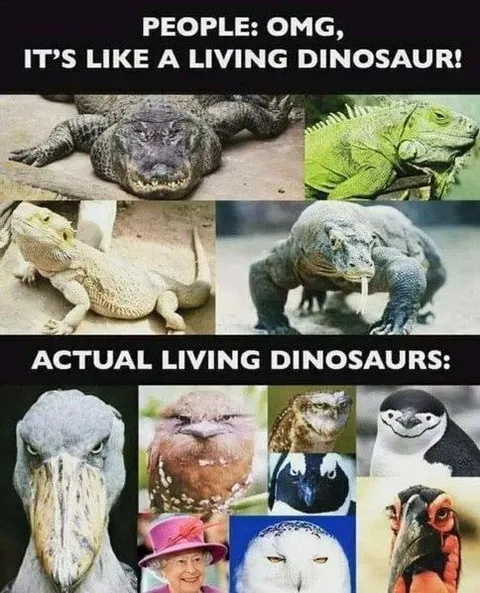 Actual Living Dinosaurs