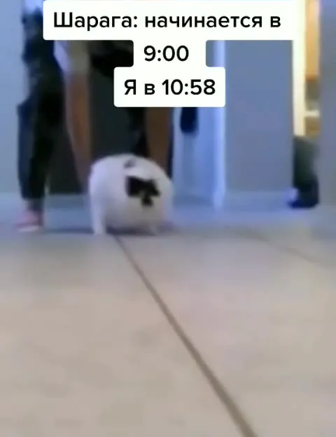 Я в 10:58 на шараге