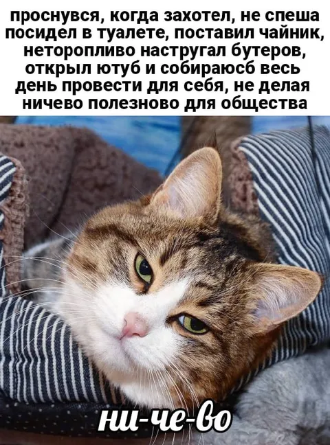 Весь день ничего полезного