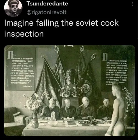 Soviet Cock Inspection