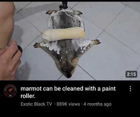 Marmot Paint Roller Cleaning