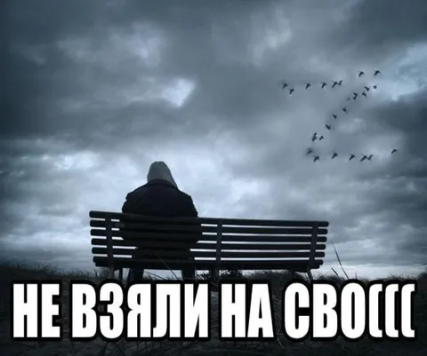 Не взяли на свободу