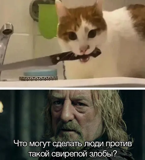 Что делать против свирепой злобы
