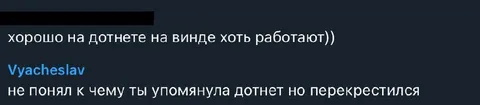 Дотнет на винде работает