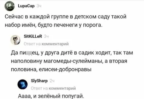 Печенеги у порога в детсаду