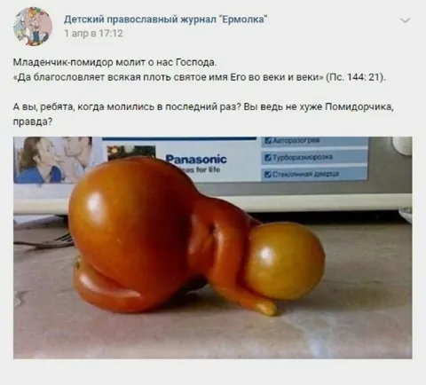 Молящийся помидор