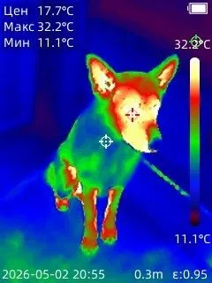 Тепловизор показывает лису