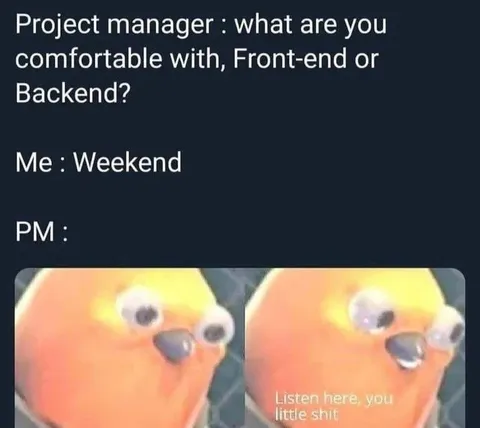 Project Manager Asks About Backend