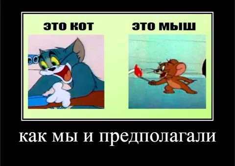 Как мы и предполагали