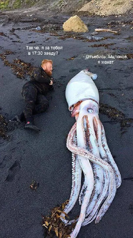 Так че, я за тобой заеду