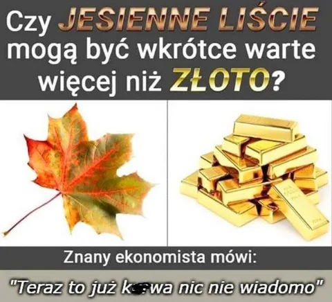 Jesienne liście warte więcej niż złoto