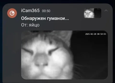 Камера обнаружила гуманоид