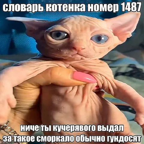 Словарь котенка номер 1487