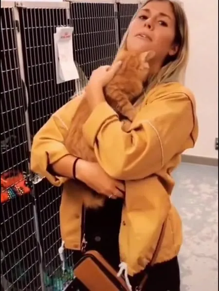 Кот отказался обнимать хозяйку
