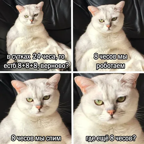 В сутках 24 часа