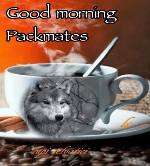 Good Morning Packmates Wolf Coffee
