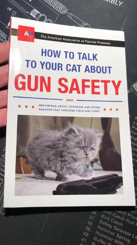 How to Talk to Your Cat About Gun Safety