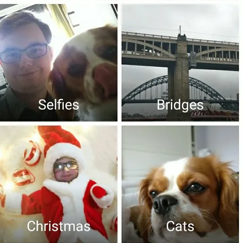 Selfies Bridges Christmas Cats