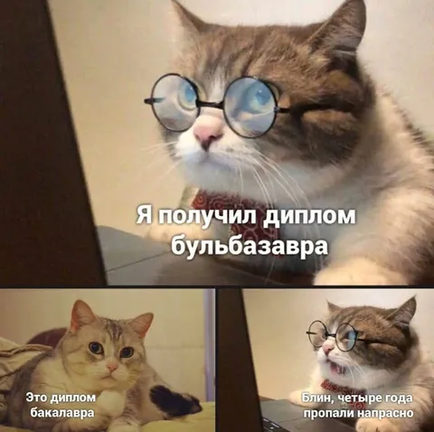 Диплом бульбазавра