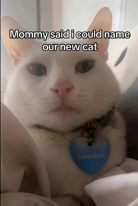 Mommy Lets Me Name the Cat
