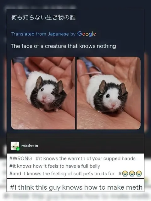 何も知らない生き物の顔