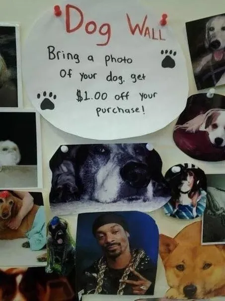 Dog Wall Discount