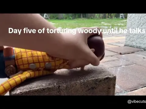 Torturing Woody Until He Talks