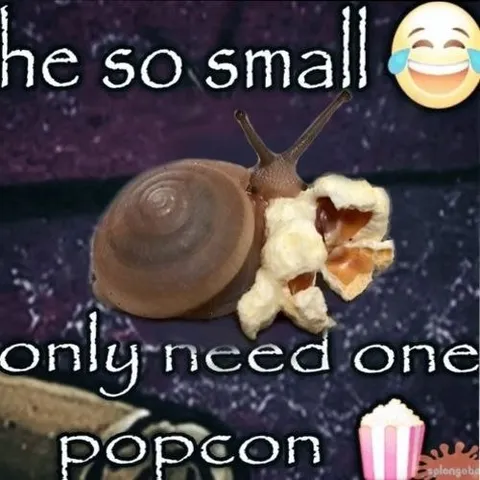 Tiny Snail Needs One Popcorn