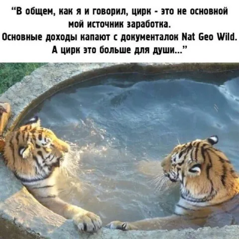Тигры и доходы с документалок