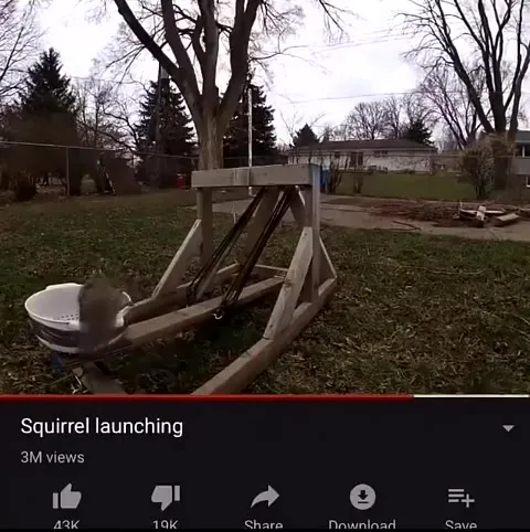 Squirrel Launching