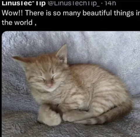 Beautiful Things in the World