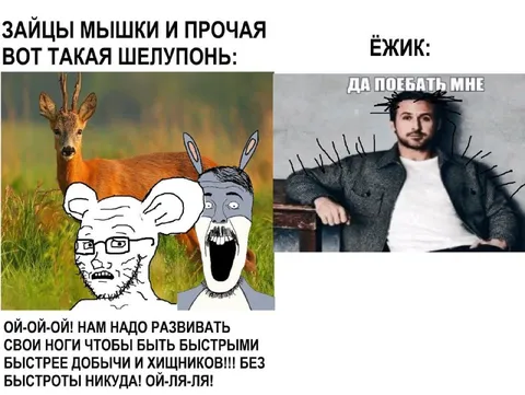 Зайцы, мышки и ёжик