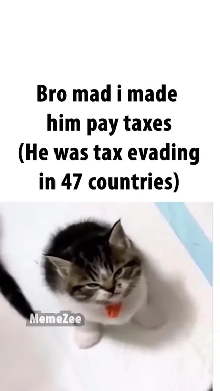 Tax-Evading Cat Pays Taxes