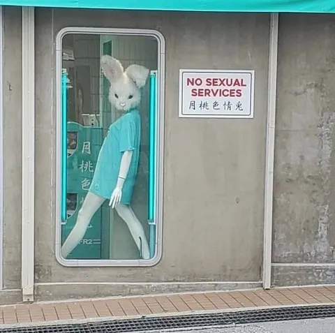 No Sexual Services Bunny