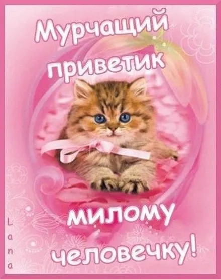 Мурчащий приветик милому человечку