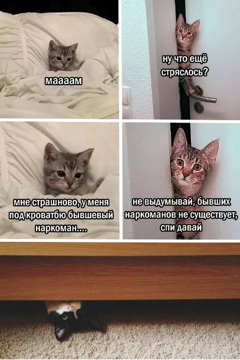 Бывший наркоман под кроватью