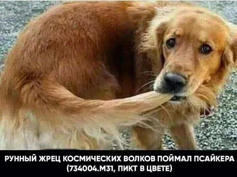 Рунный жрец поймал псайкера
