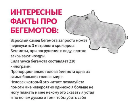 Интересные факты про бегемотов
