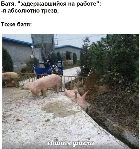 Батя абсолютно трезв