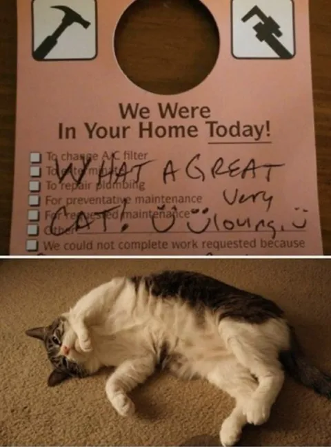 We Were In Your Home Today