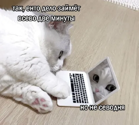 Две минуты, но не сегодня